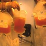 Global Blood Plasma Market Doubled its Volume in the Last 10 Years