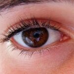 Vision Restoration to Burn Victims may be Possible