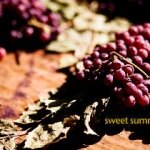The US Wine Market is Expected to Grow