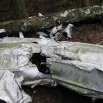 No Survivors was Found in the Plane Crashed in West Africa