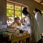 New Hopes for Scientists Trying to Prevent Malaria Infection Among People