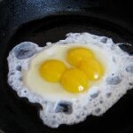 Egg Yolks Need to be Fully Cooked Due to Salmonella Outbreak