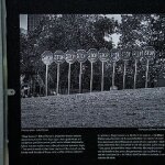 Study Revels Loss of Protein Leads Skin Cancer