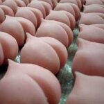 SWEETEST DAY 2010: CELEBRATE A 2ND VALENTINE’S DAY