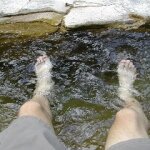 Festering Feet and Toenail Fungus SteriShoe Fixing