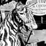Charlie Chaplin and the Time Traveler: Q&A