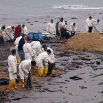 Mixed Reactions Over BP Clean Up