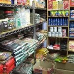 Halal Insight and Misconceptions