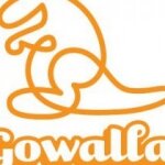 Gowalla Introduces Exciting New Disney Experience